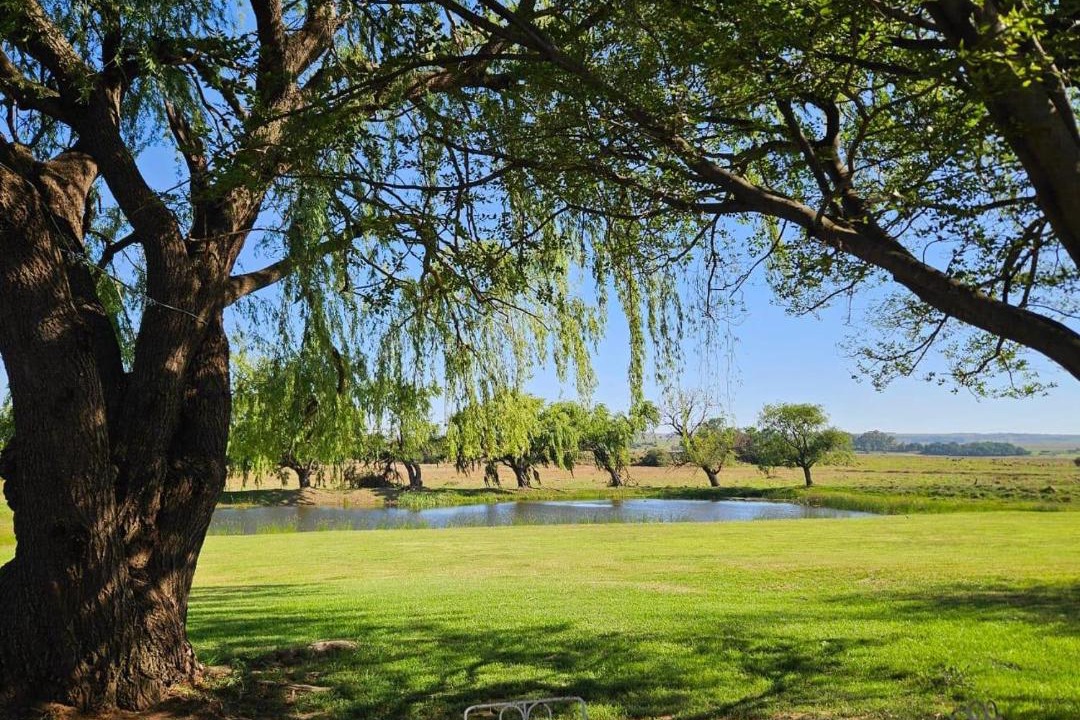 Photo of Others in Bronkhorstspruit