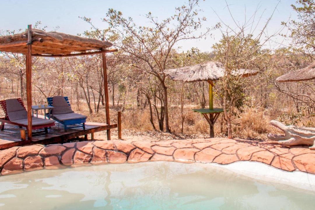 Photo of Others in Thorny Bush Game Reserve