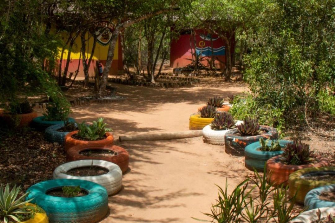 Photo of Others in Thorny Bush Game Reserve
