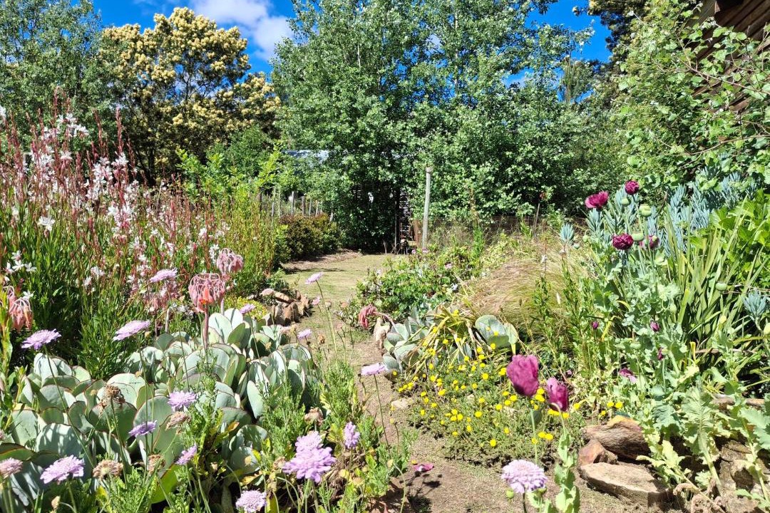 Photo of Outdoor in Joubertina