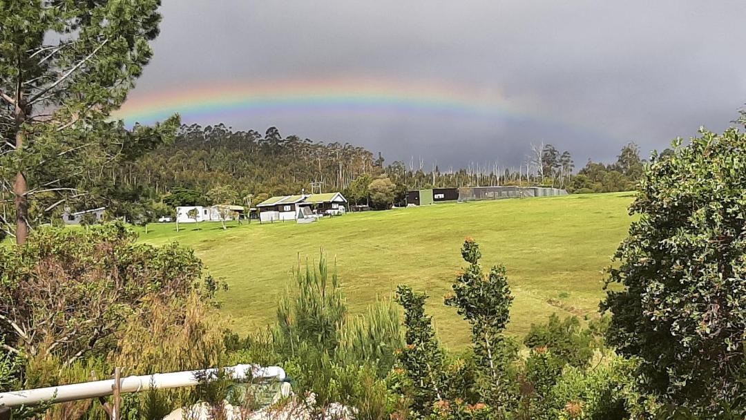 Photo of Others in Knysna