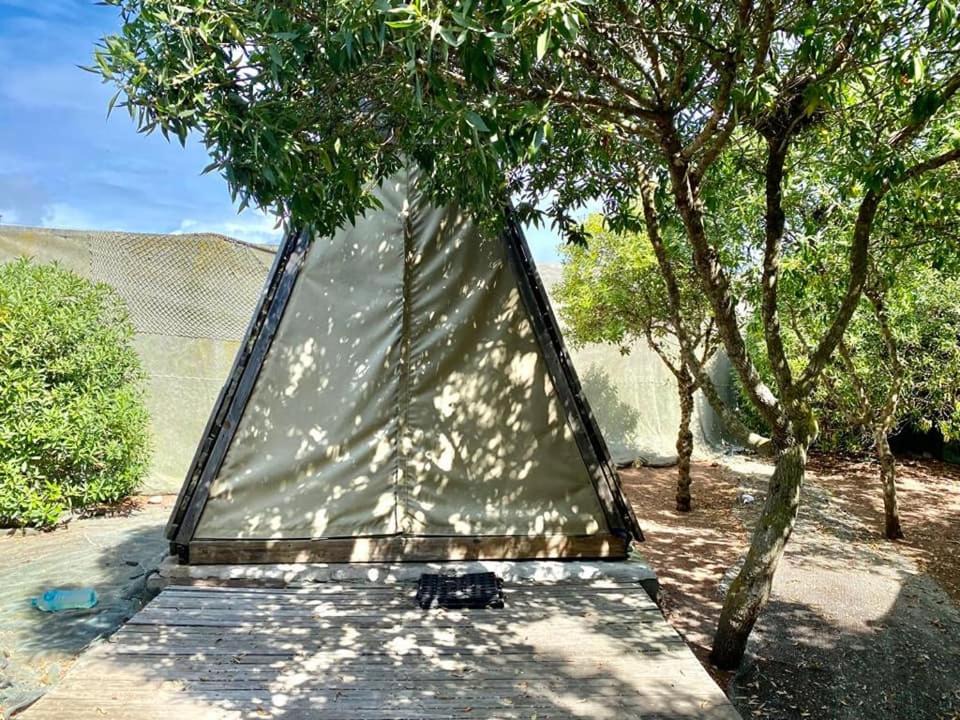 Photo of Outdoor in Jacobs Bay