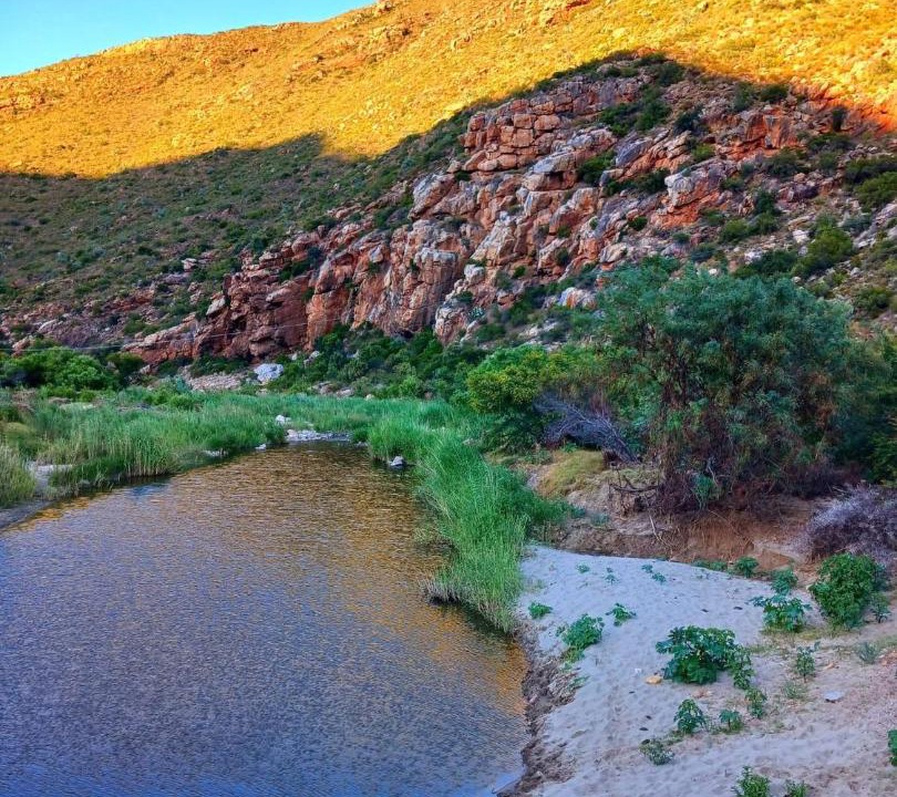 Photo of Others in Montagu