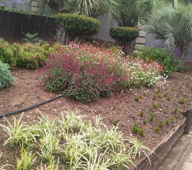 Photo of Outdoor in Greater Johannesburg Metropolitan Area