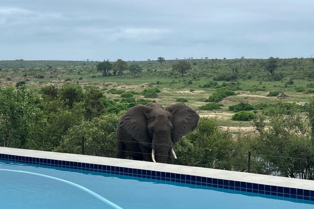 Photo of Others in Buffelspruit