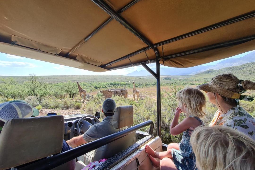 Photo of Others in Oudtshoorn
