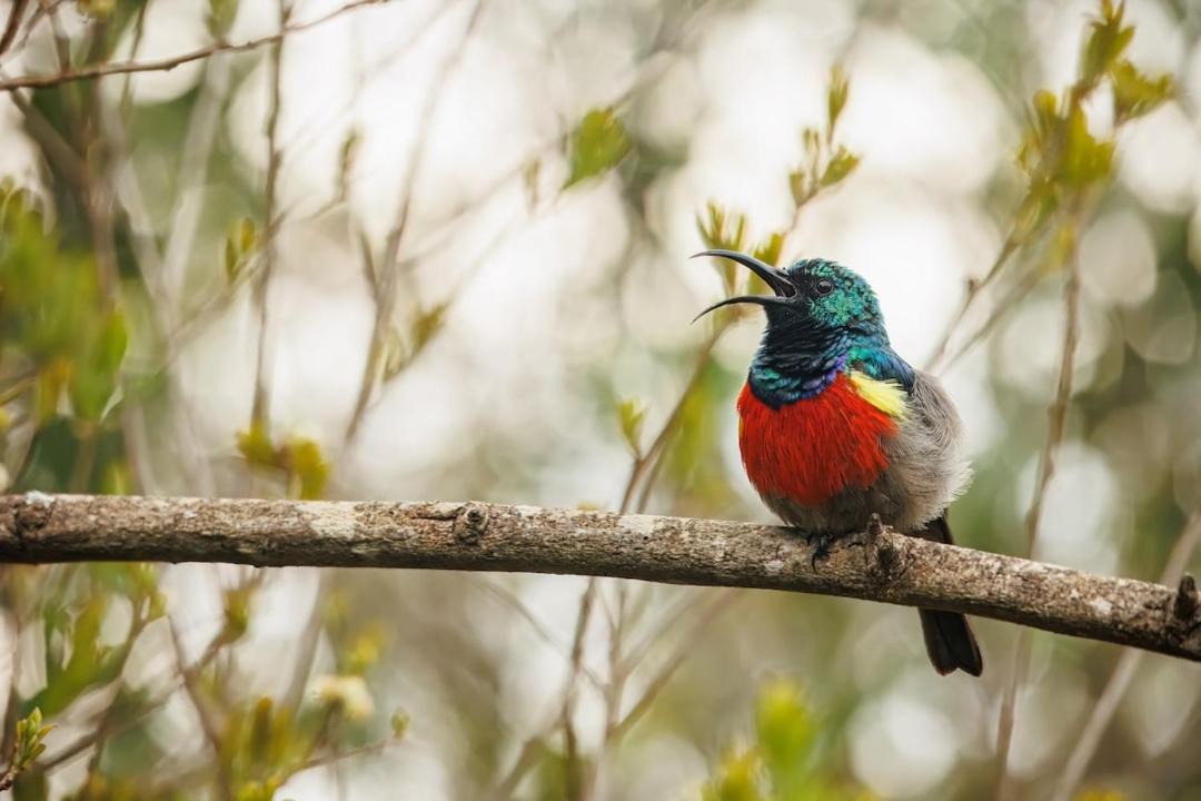 Photo of Others in Buffalo Hills Game Reserve