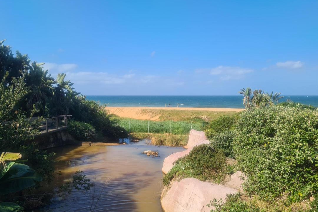 Photo of Others in Port Zimbali