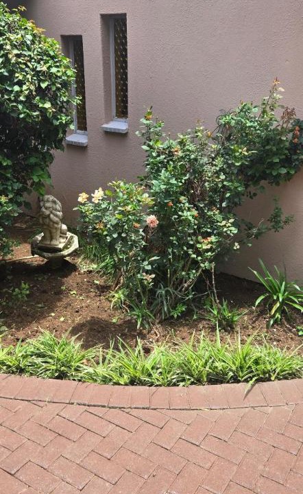 Photo of Others in Greater Johannesburg Metropolitan Area