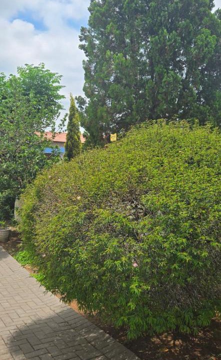 Photo of Outdoor in Greater Johannesburg Metropolitan Area