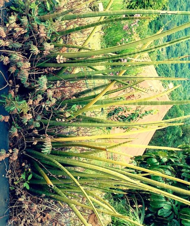 Photo of Outdoor in Durban