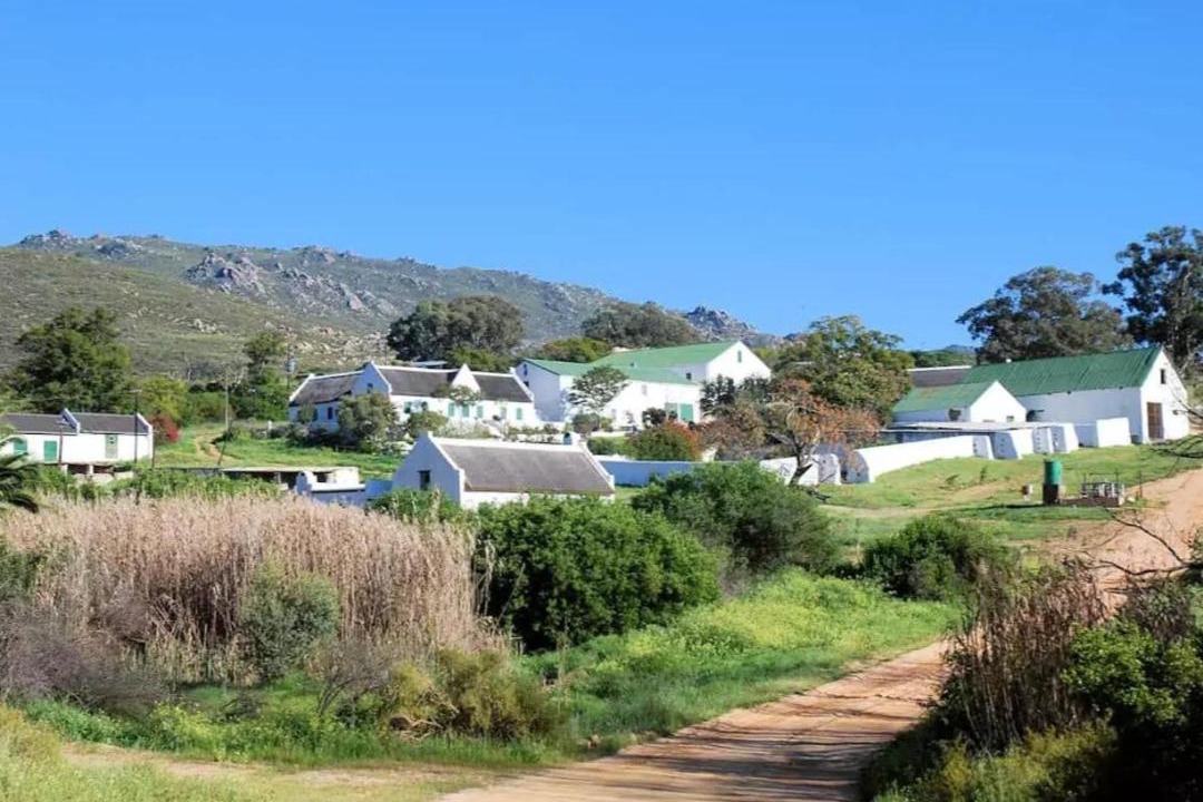Photo of Buildings in Citrusdal