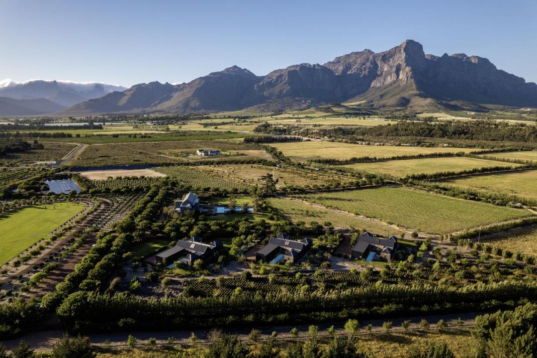 Photo of Others in Cape Winelands