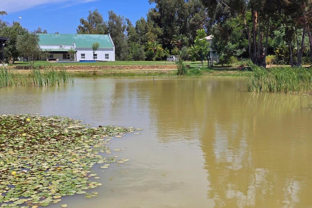 Photo of Others in Swartland