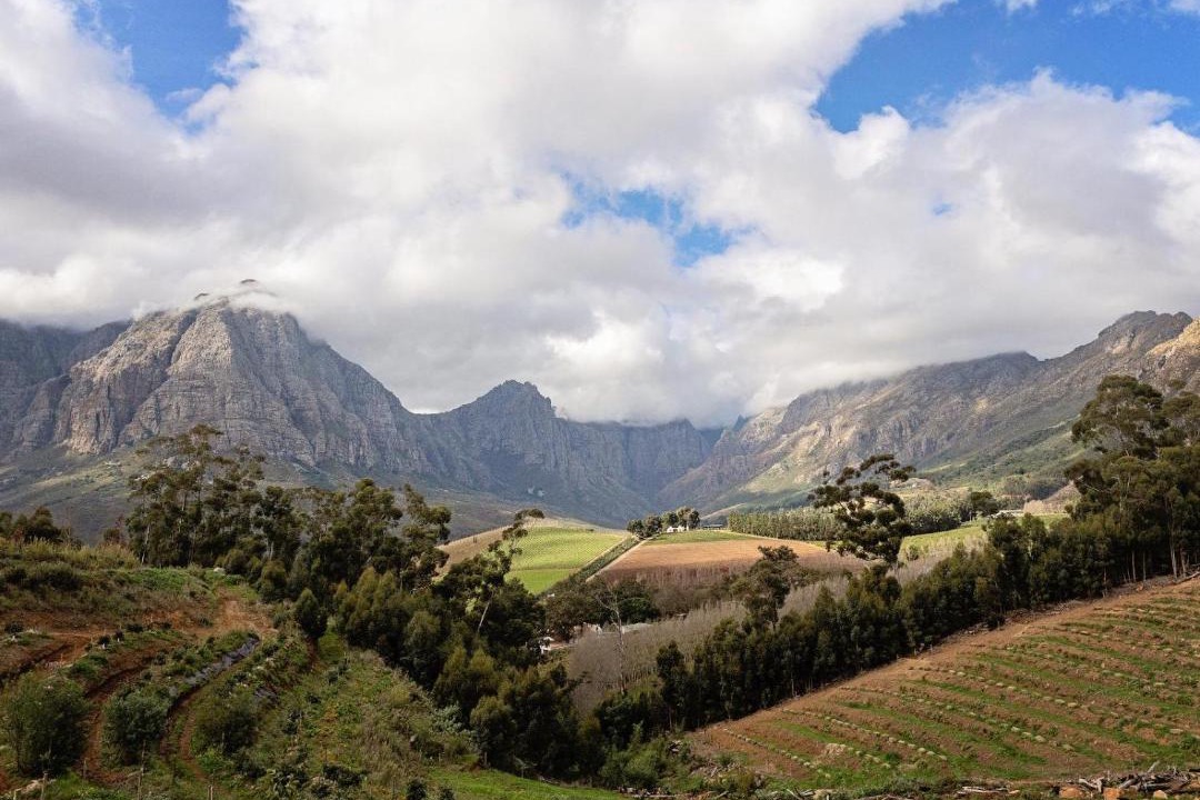 Photo of Others in Cape Winelands