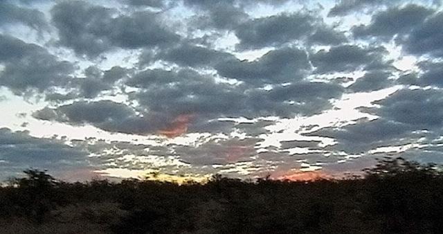 Photo of Others in Kruger National Park