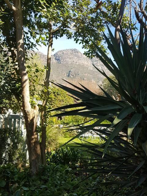 Photo of Outdoor in Riebeeck West