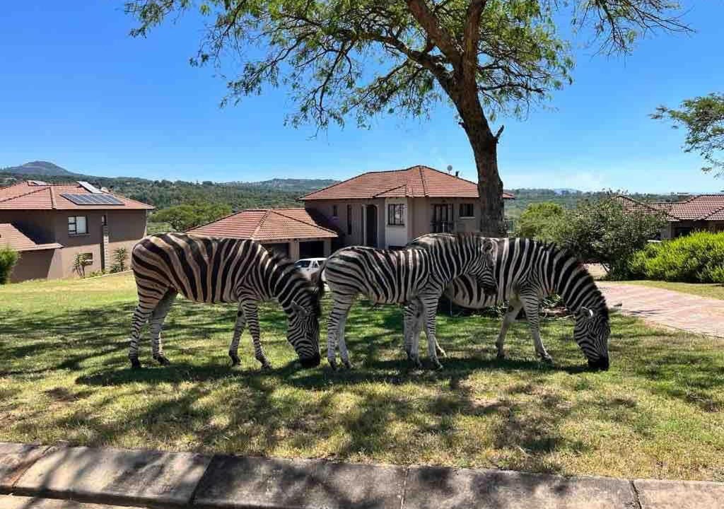 Photo of Others in Nelspruit