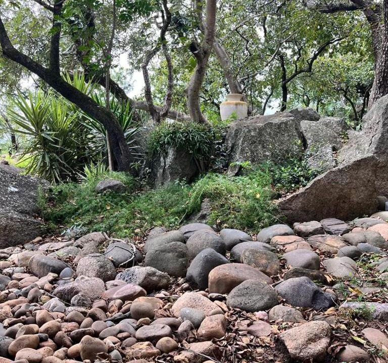 Photo of Others in Nelspruit
