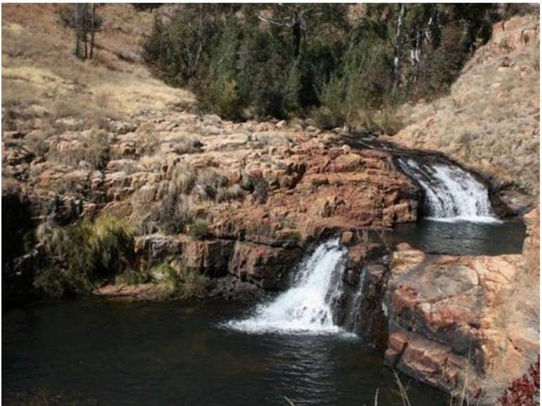 Photo of Others in Dullstroom