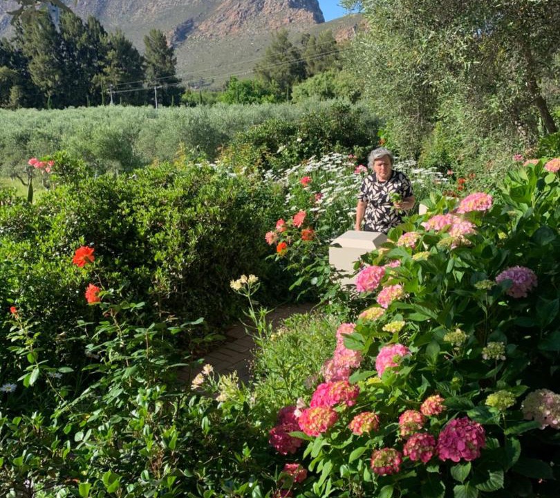 Photo of Others in Montagu