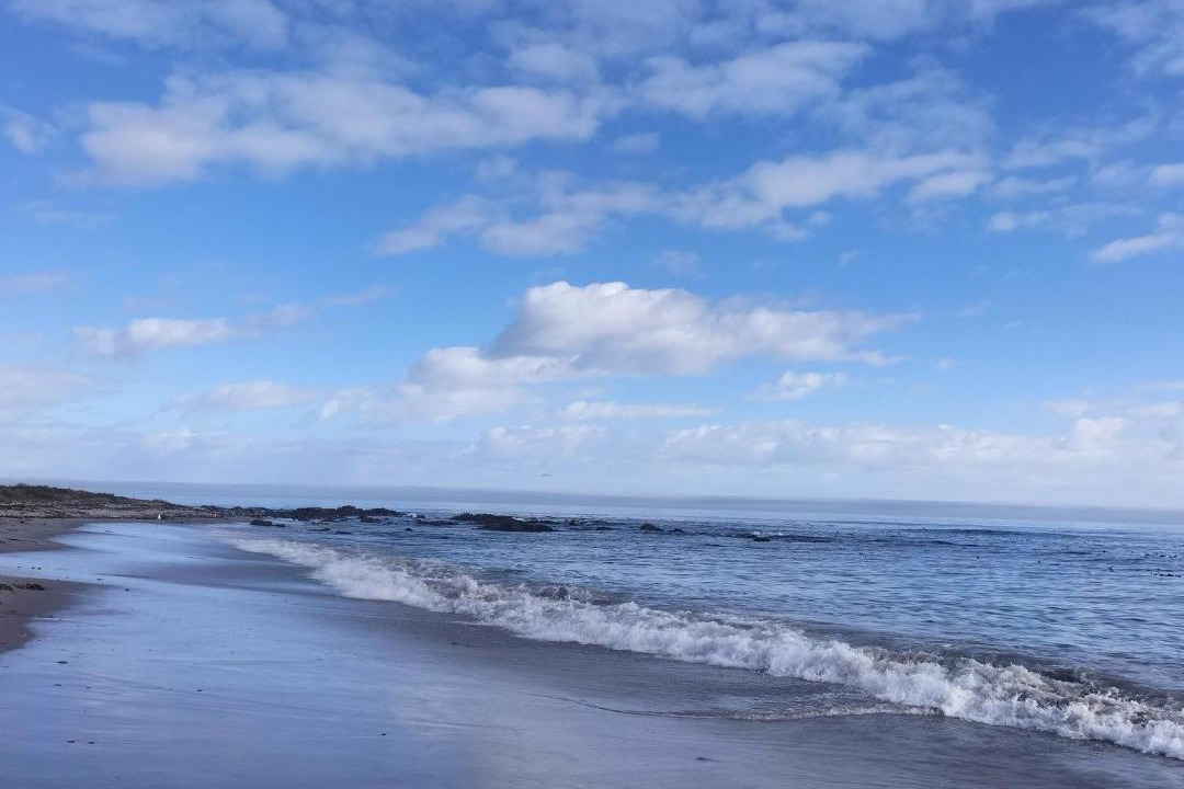 Photo of Others in St. Helena Bay