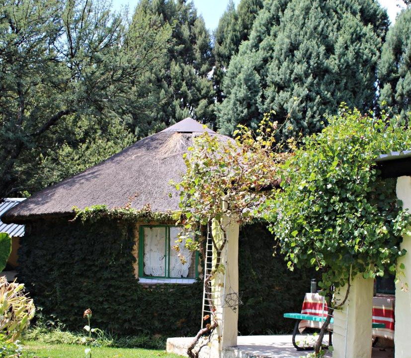 Photo of Others in Tierpoort