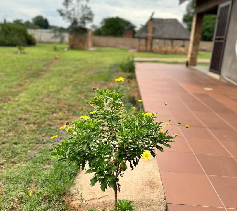 Photo of Outdoor in Vereeniging