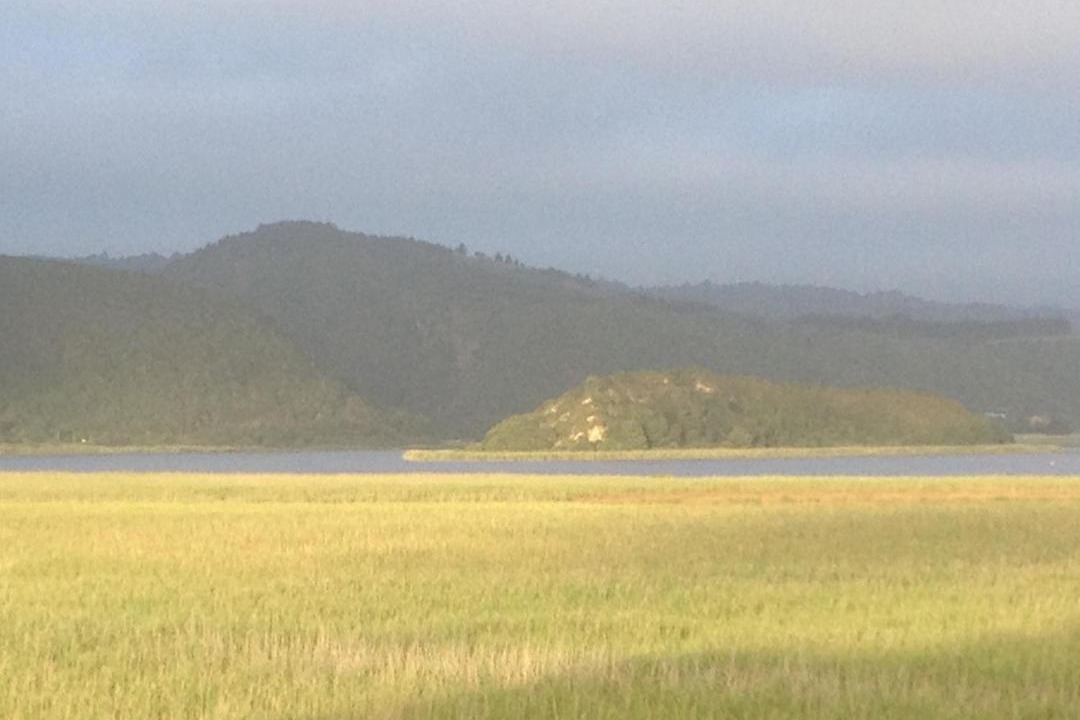 Photo of Others in Wilderness