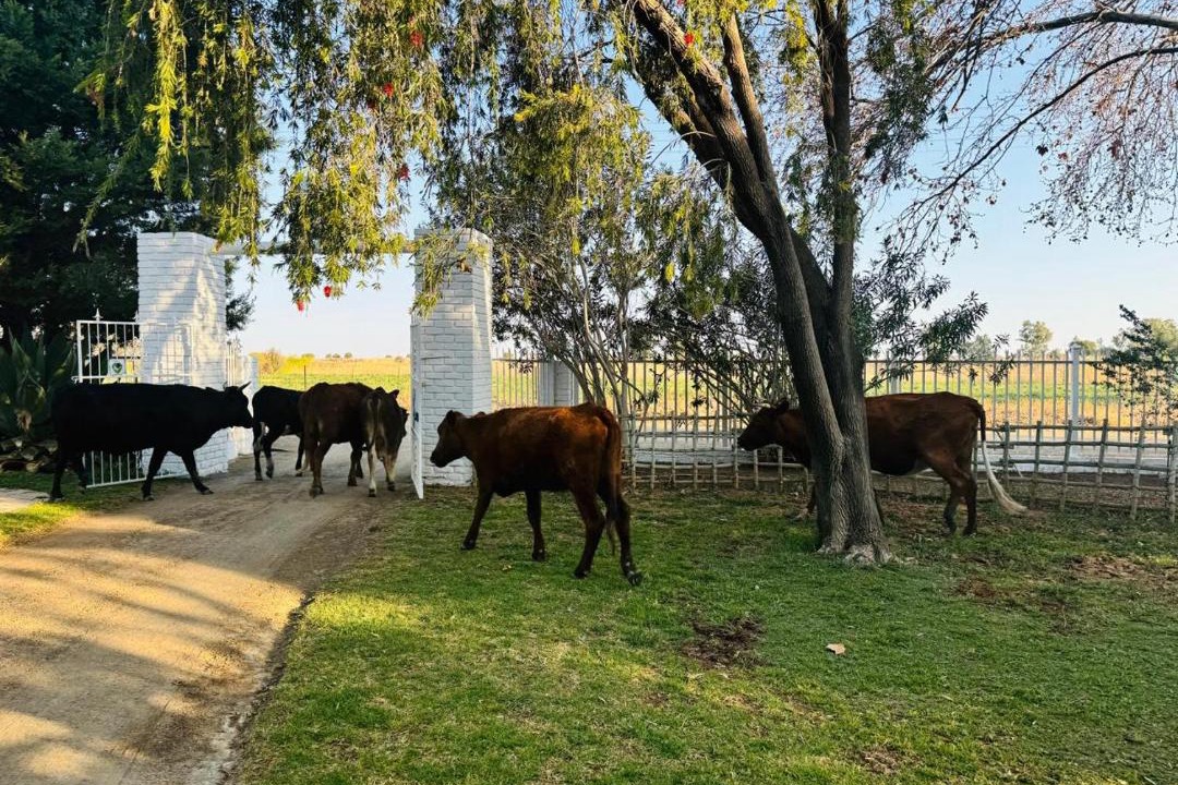 Photo of Others in Ritchie