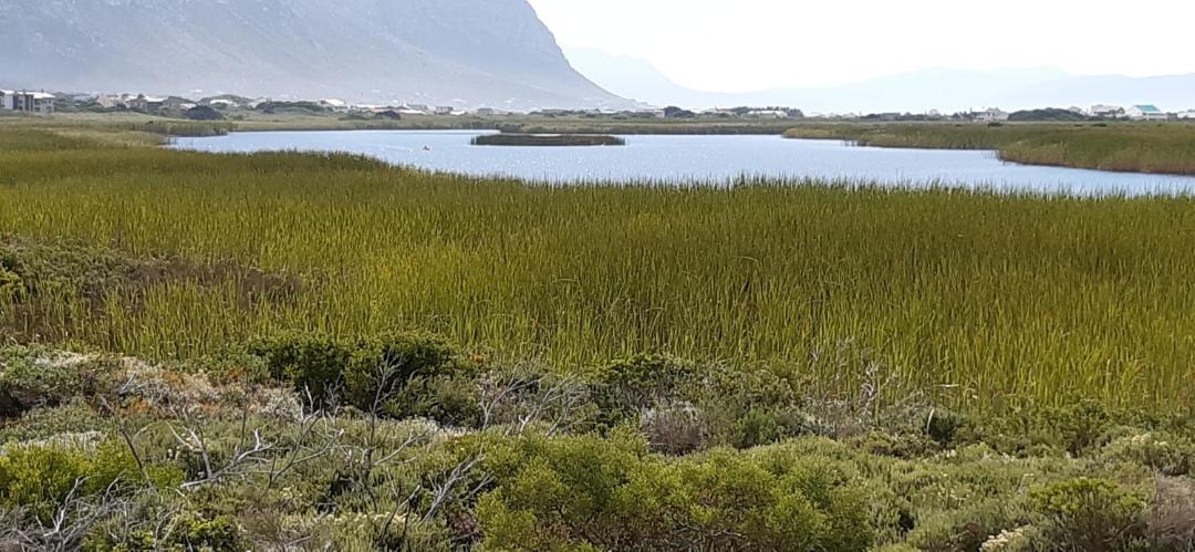 Photo of Others in Betty's Bay