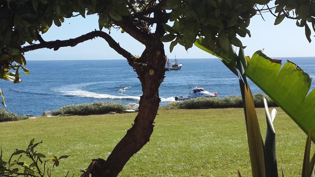 Photo of Others in Saint Francis Bay