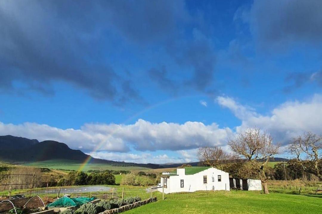 Photo of Others in Papiesvlei
