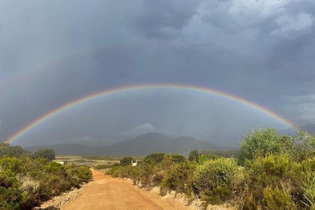 Photo of Others in Papiesvlei
