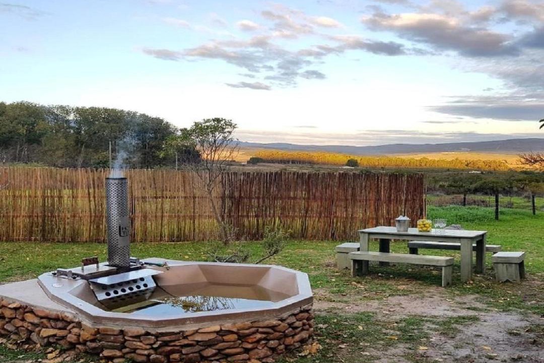 Photo of Others in Papiesvlei