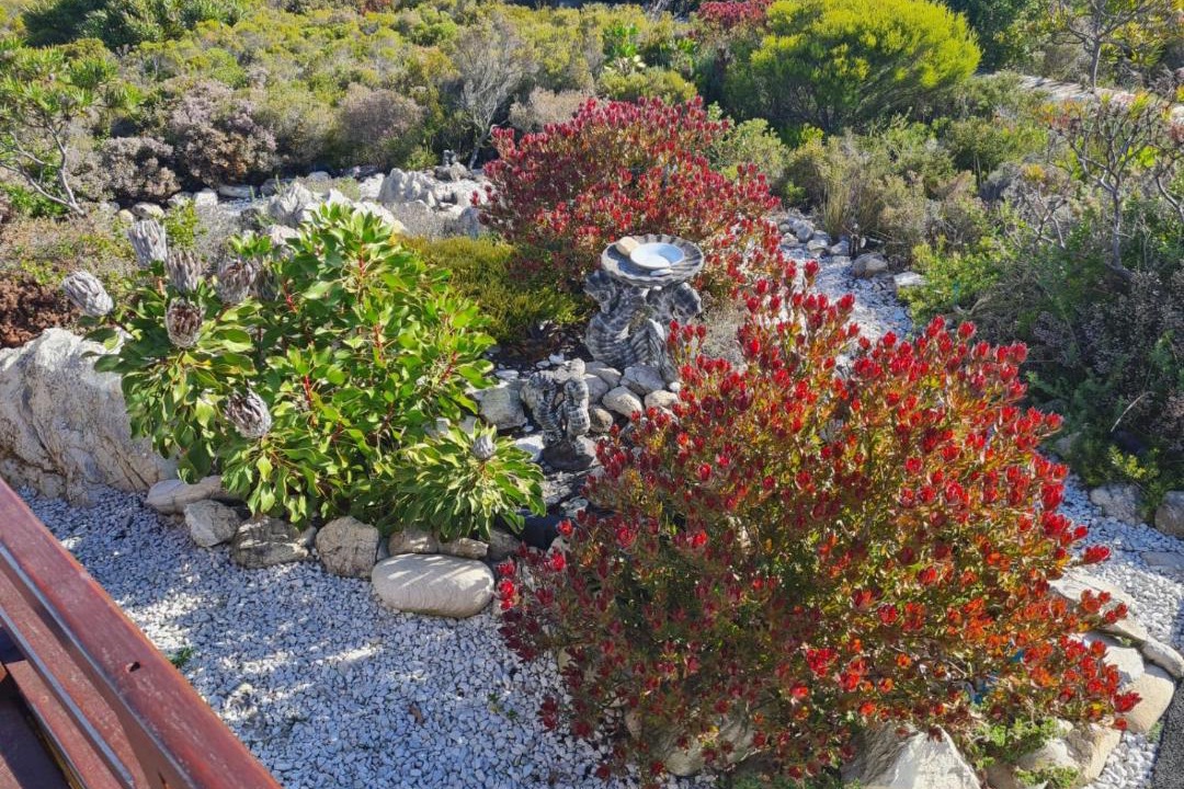 Photo of Others in Betty's Bay