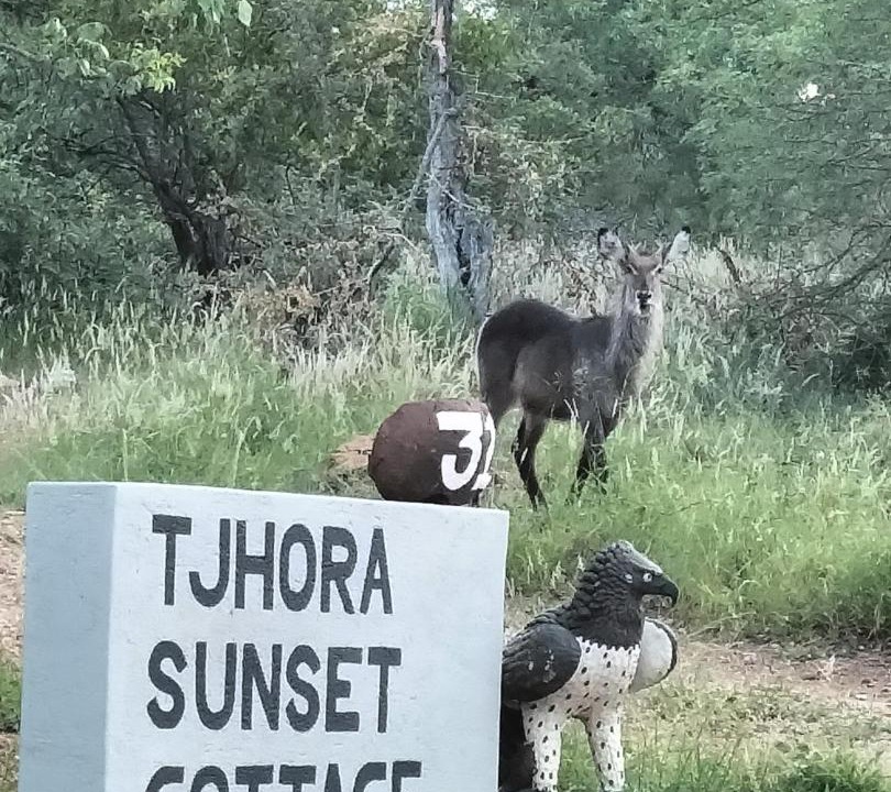 Photo of Others in Maruleng