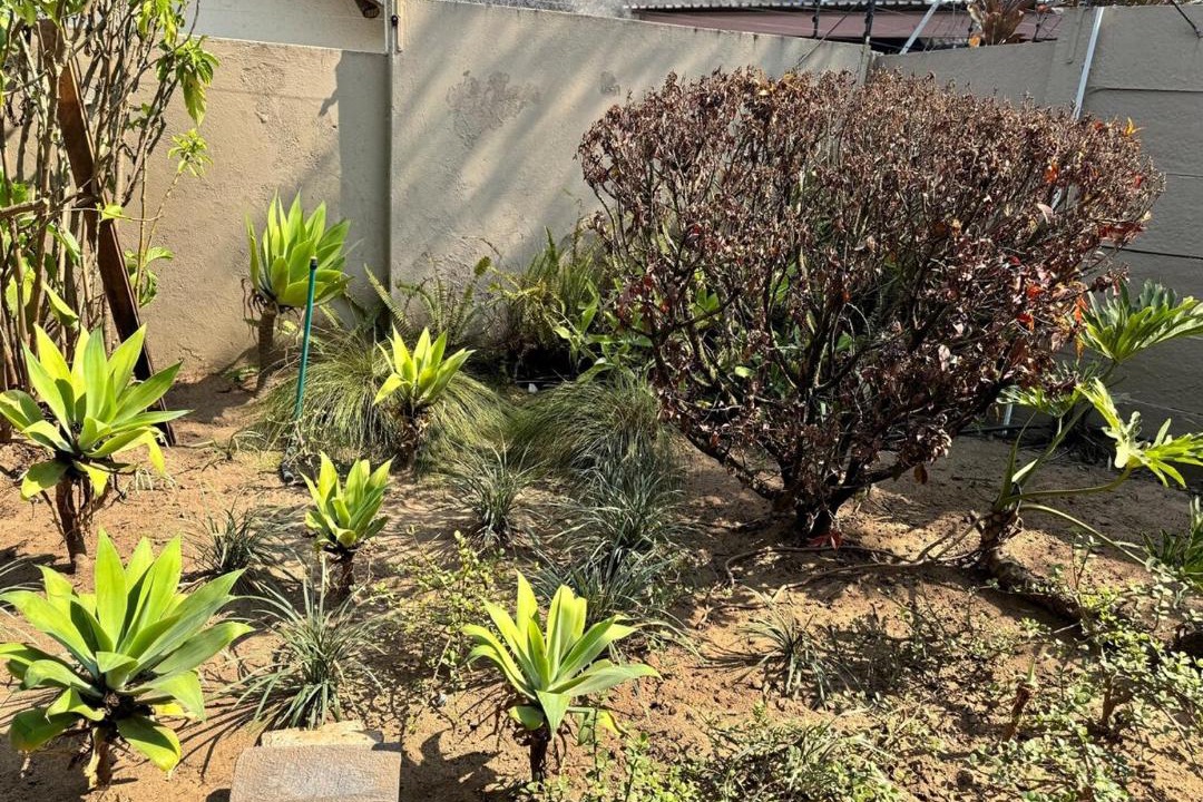Photo of Outdoor in Nelspruit