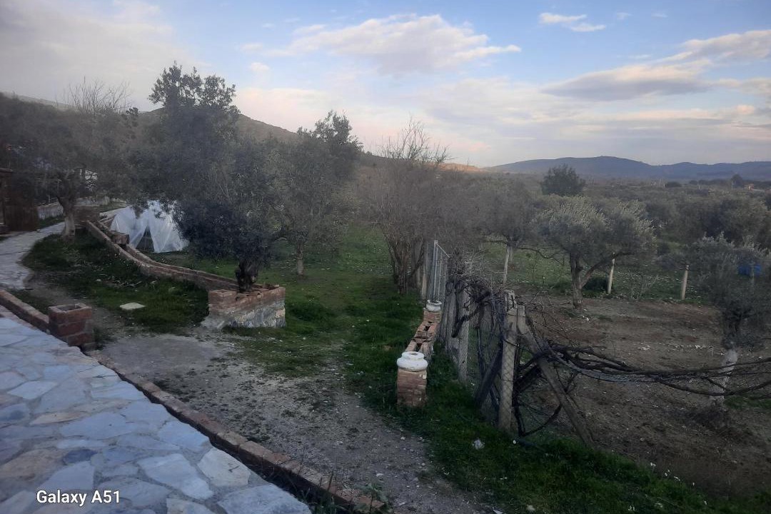 Photo of Others in Selcuk