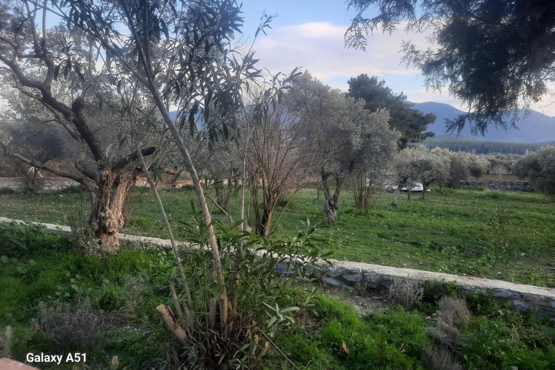 Photo of Others in Selcuk