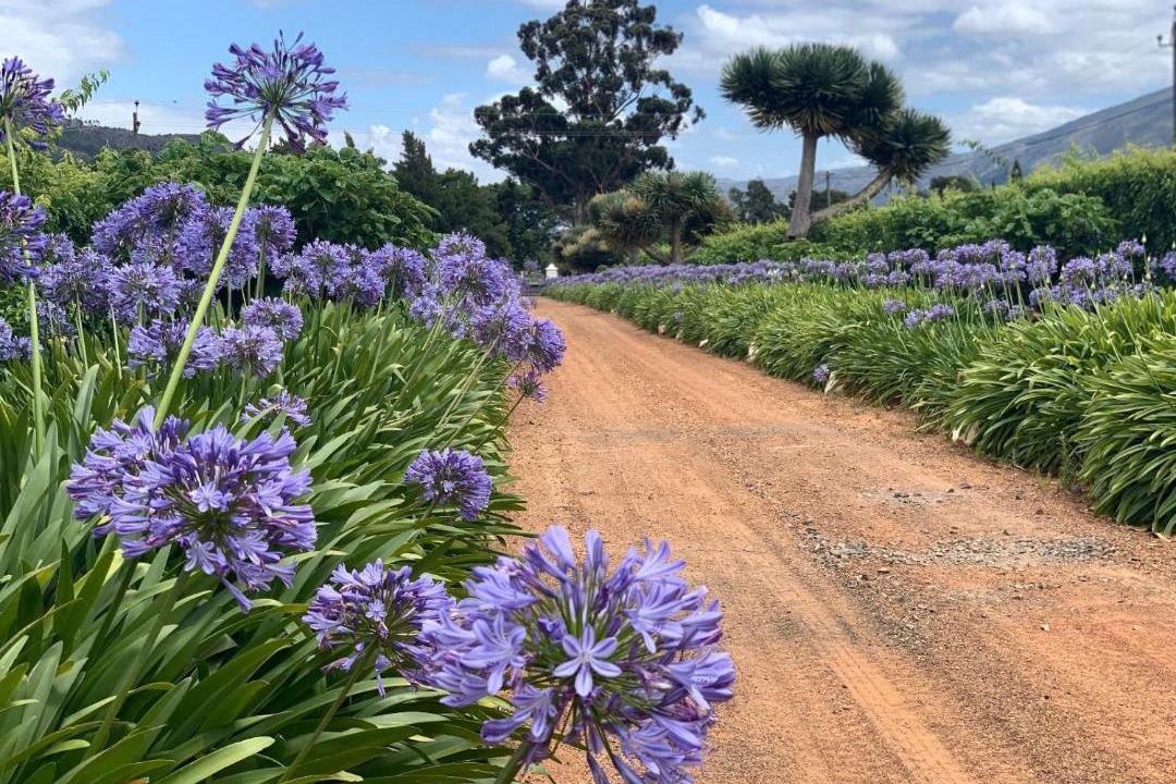 Photo of Outdoor in Franschhoek