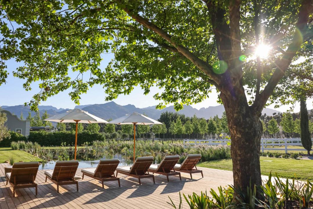 Photo of Others in Cape Winelands