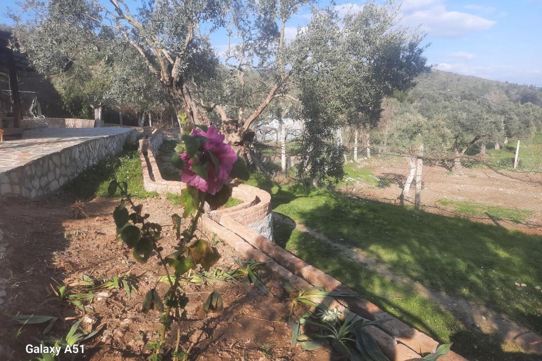 Photo of Others in Selcuk