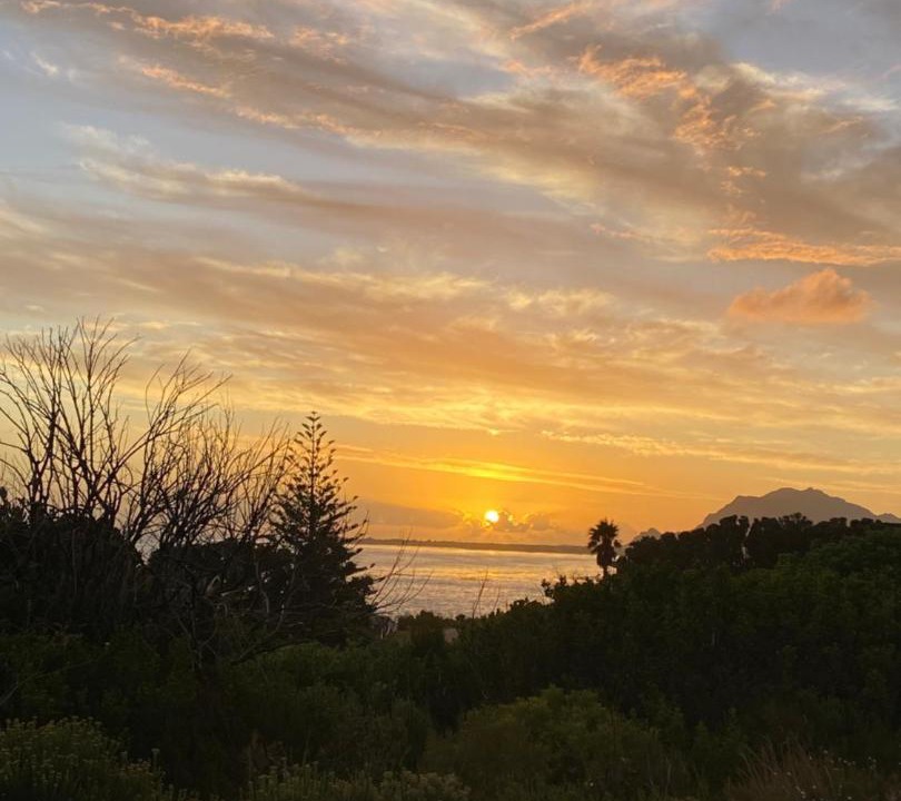 Photo of Others in Betty's Bay