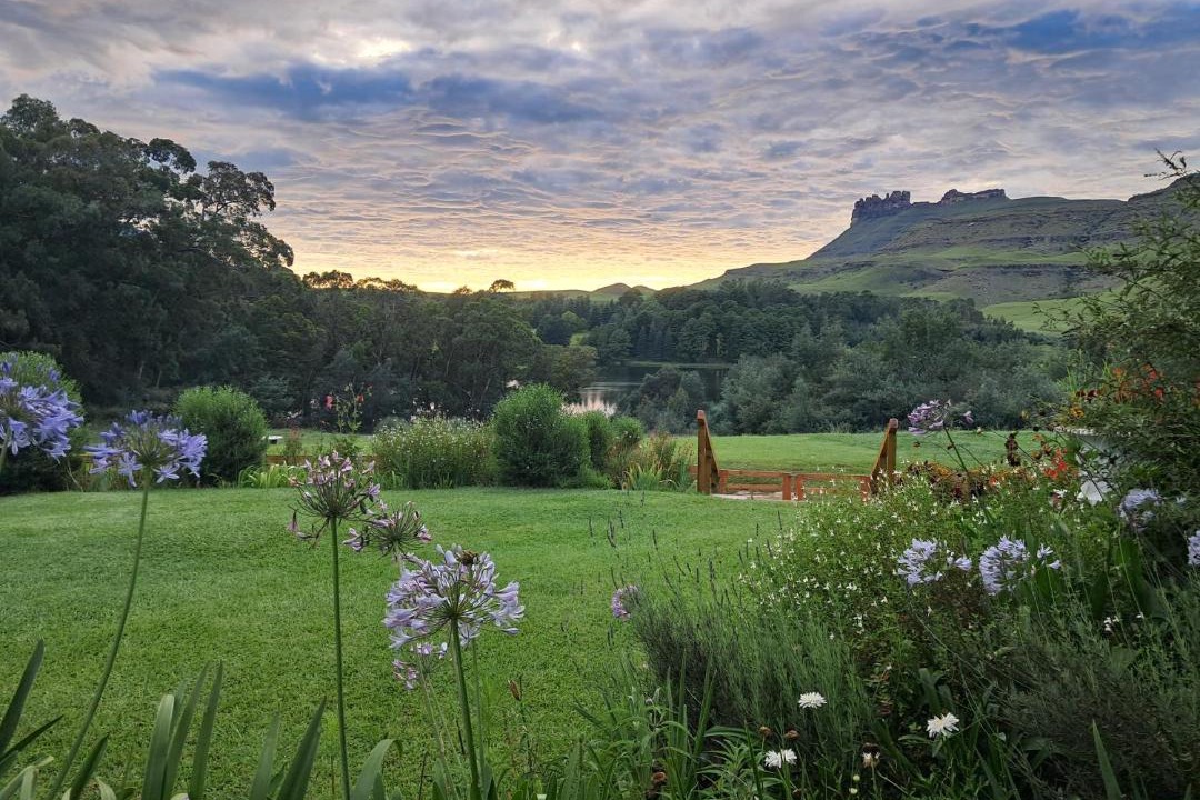 Photo of Others in Drakensberg Gardens