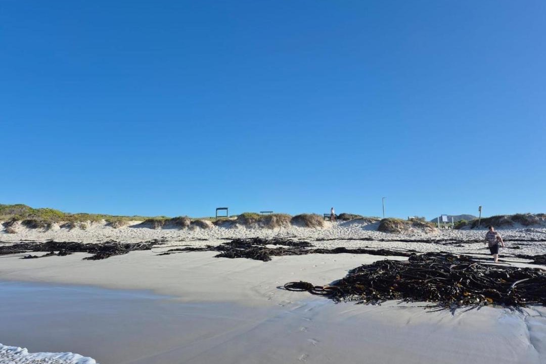Photo of Others in Pearly Beach