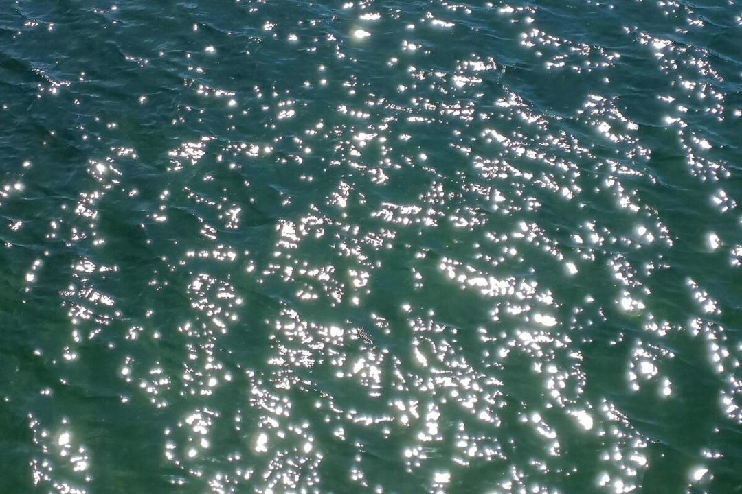 Photo of Others in Marina Martinique