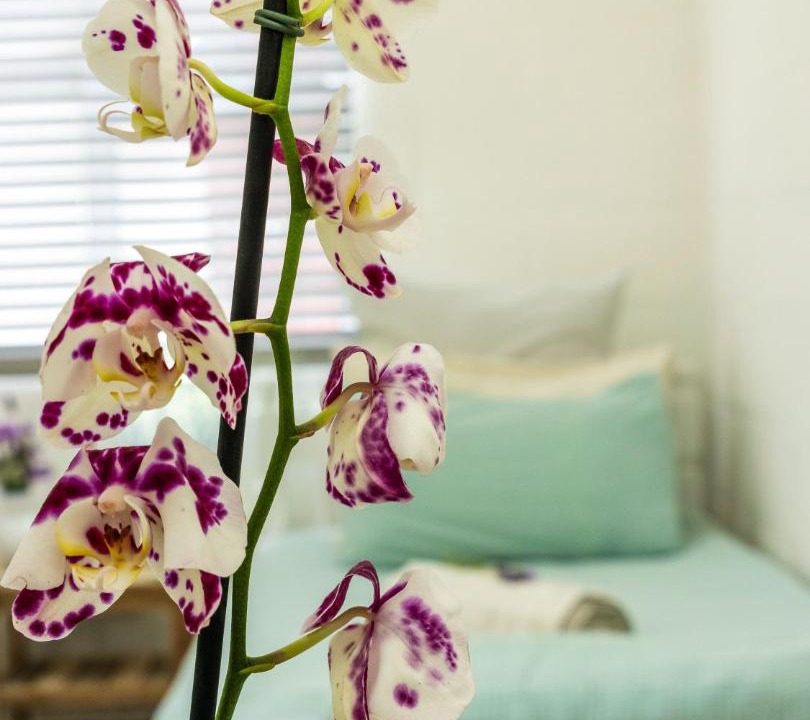Photo of Bedroom in Sedgefield