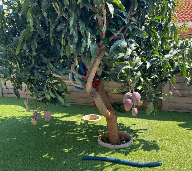 Photo of Outdoor in Pretoria