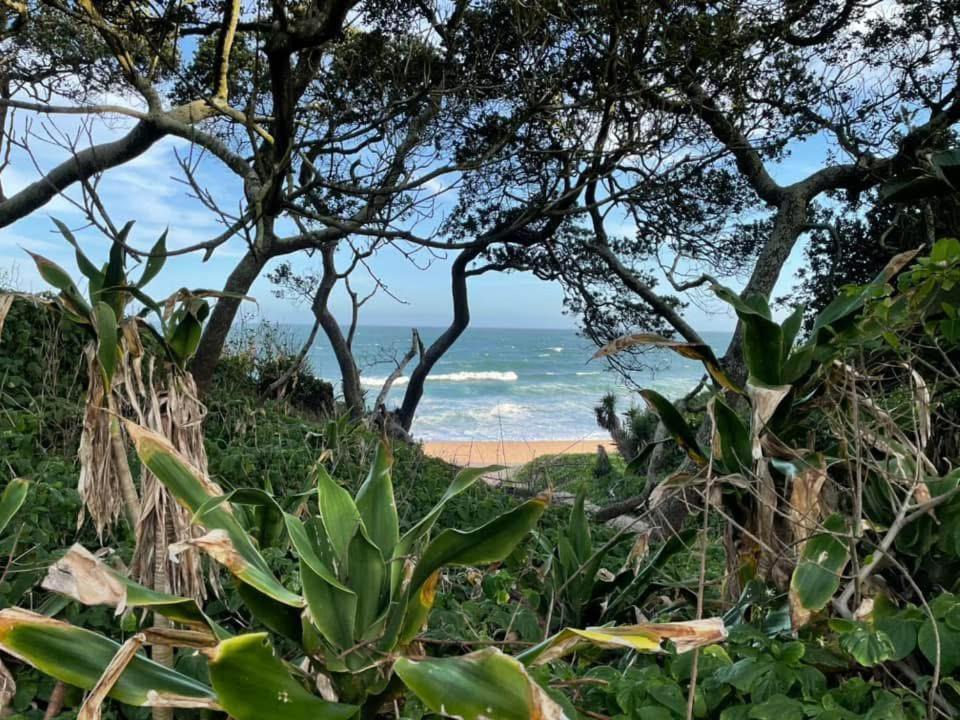 Photo of Others in Zinkwazi Beach